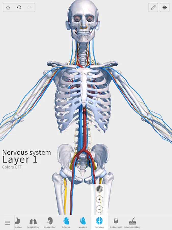 Screenshot 22