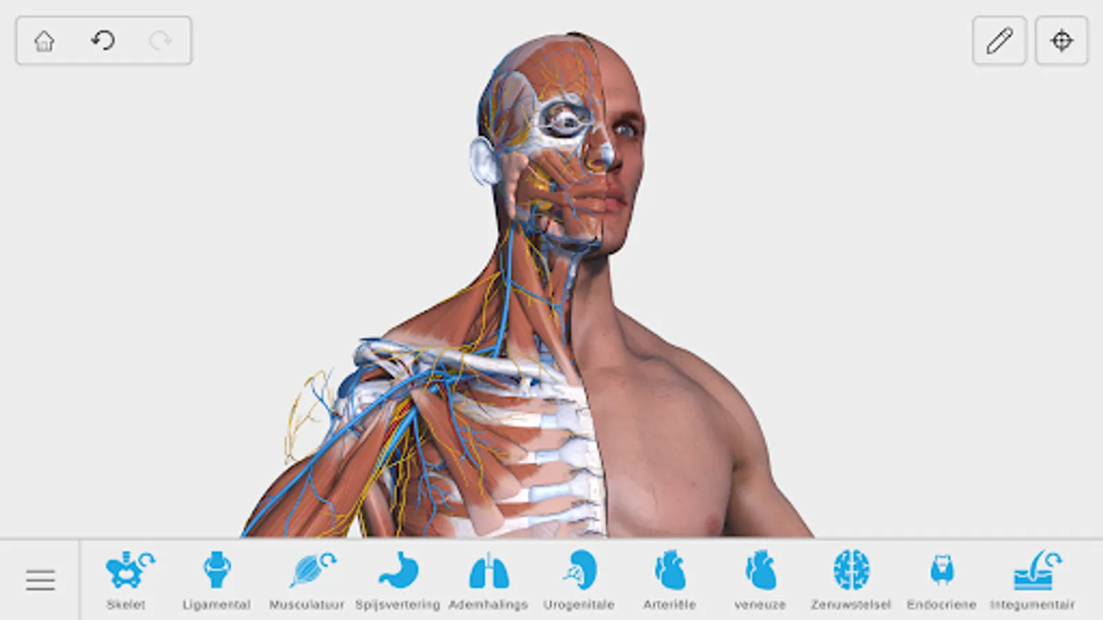 Screenshot 25
