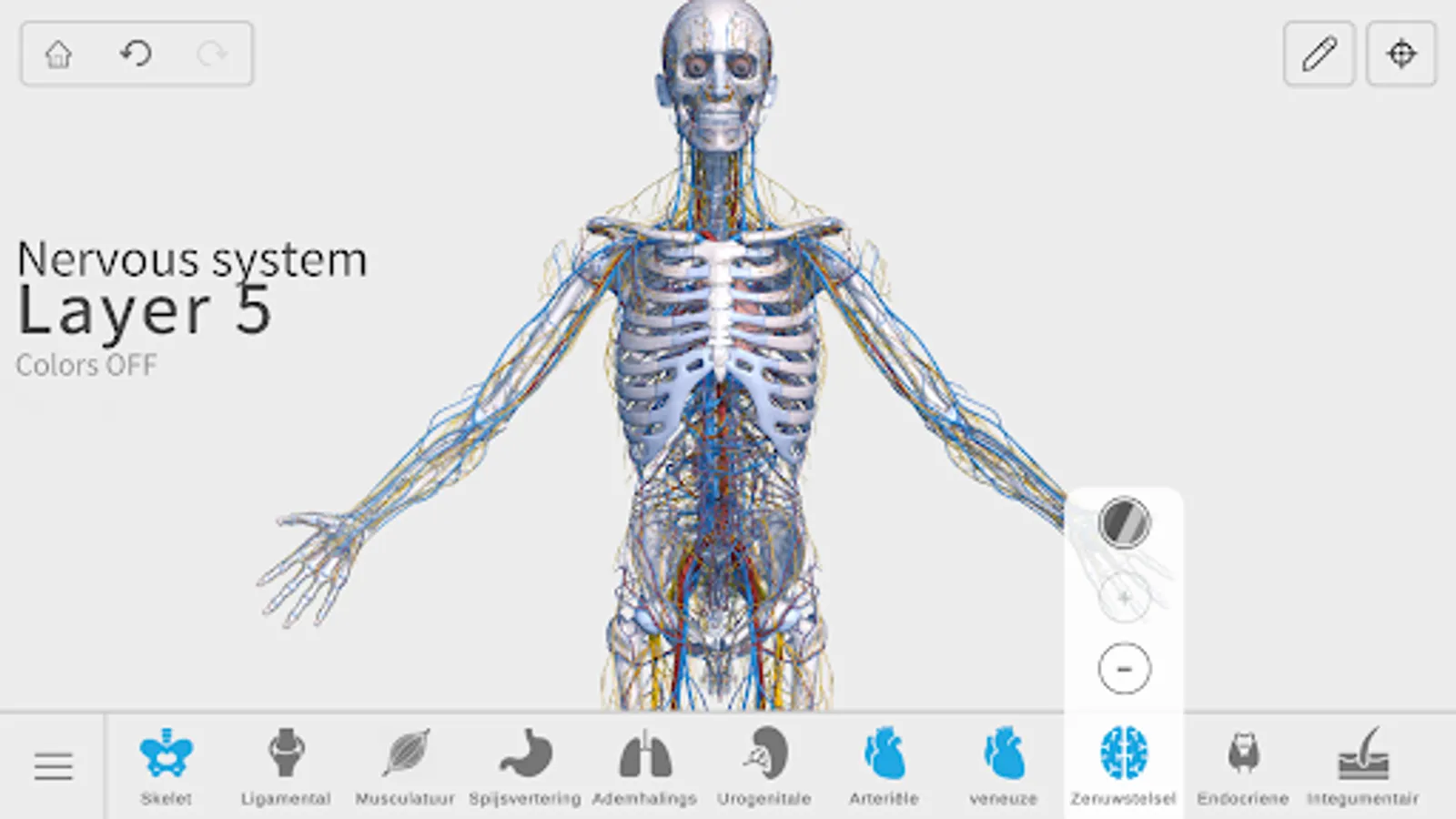 Screenshot 31