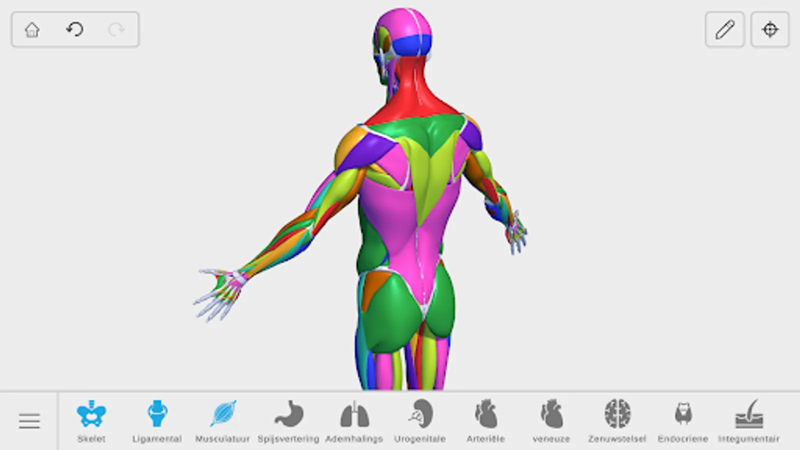 Screenshot 32