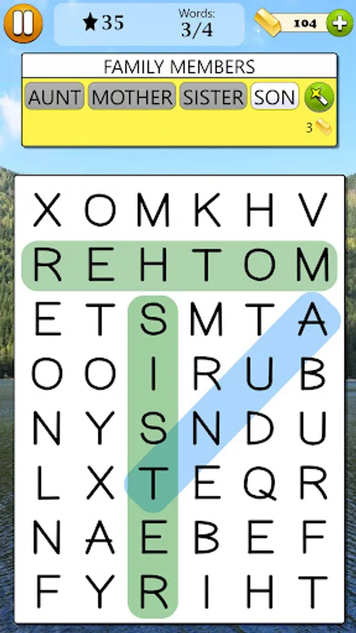 Screenshot 24