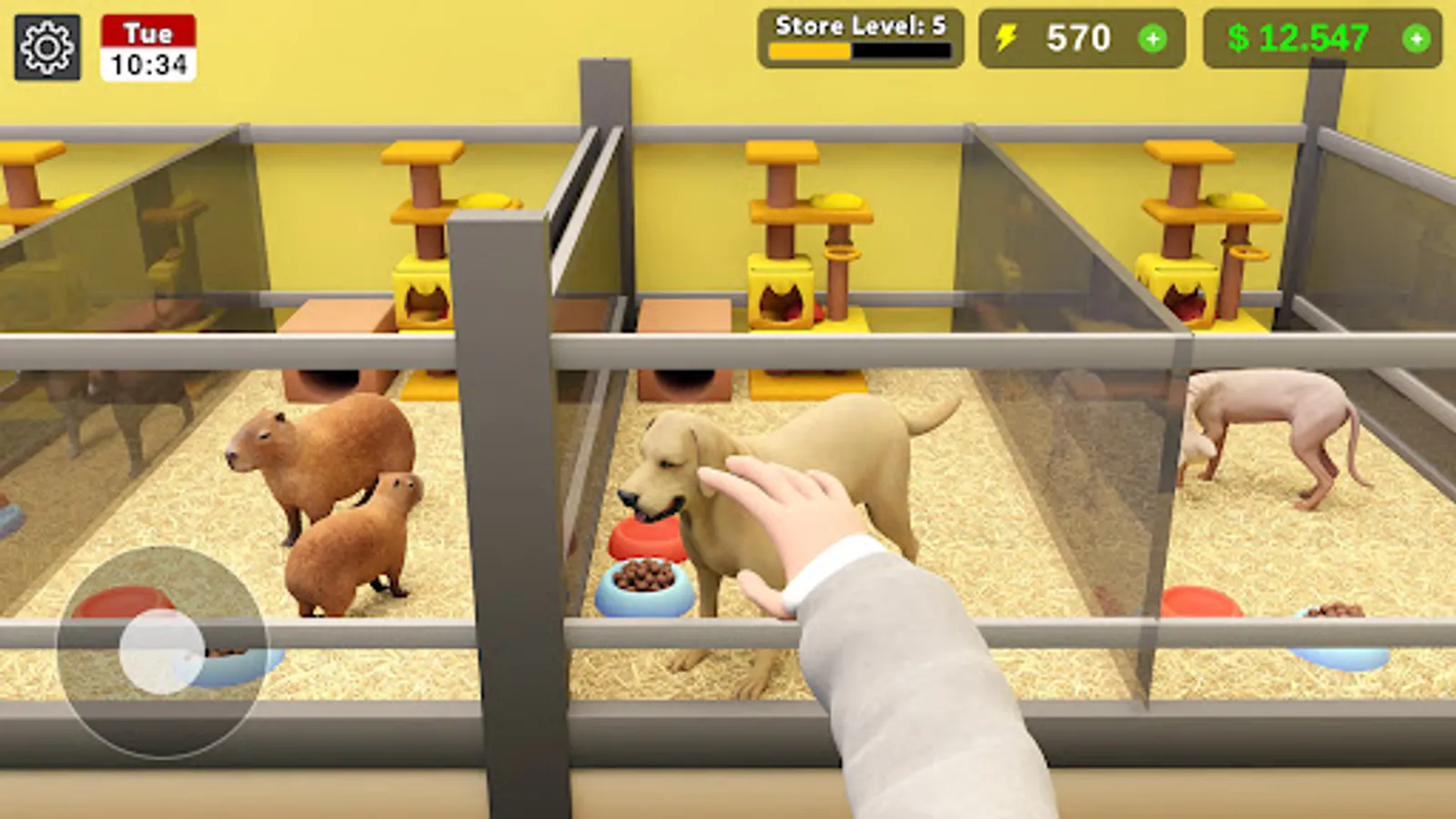 Screenshot 17