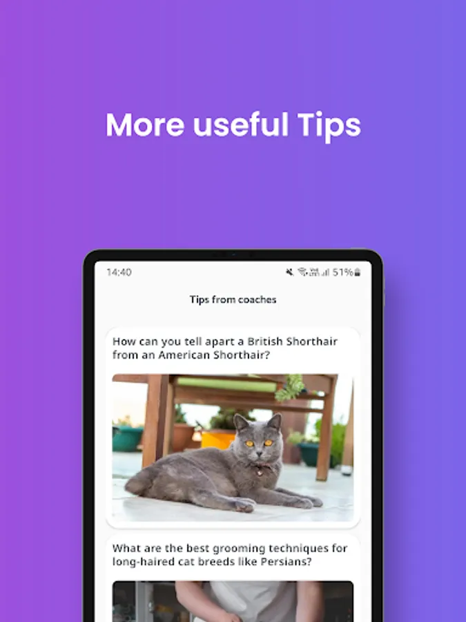 Screenshot 22
