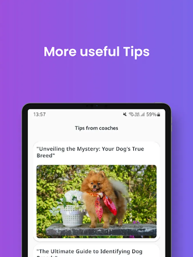 Screenshot 22