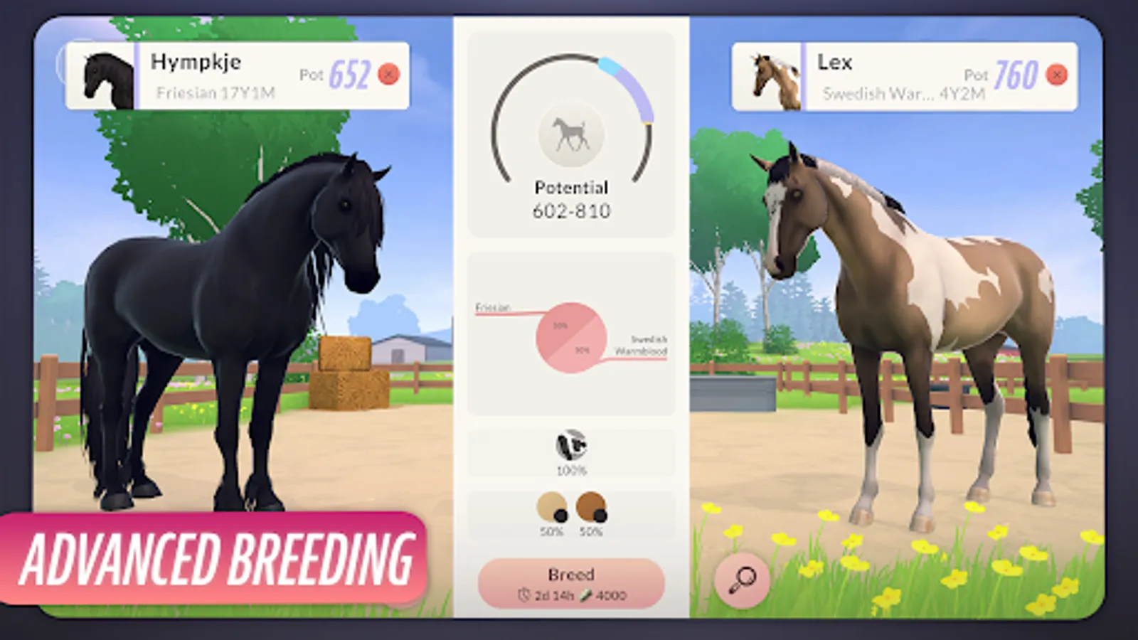 Screenshot 21