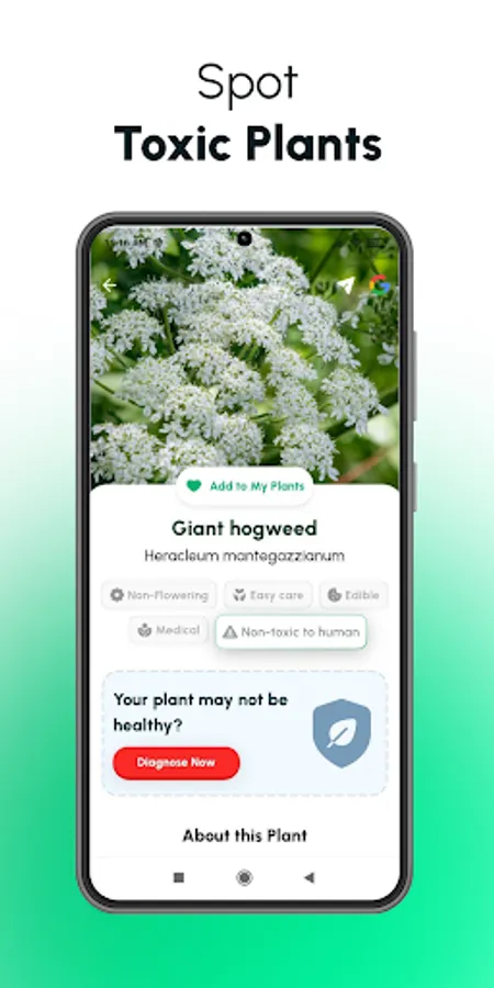 Screenshot 24