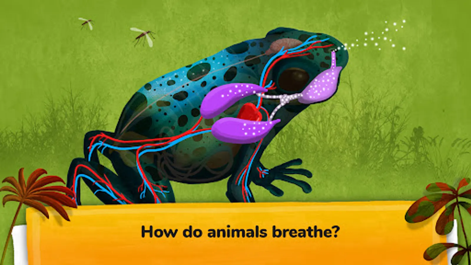 Screenshot 27