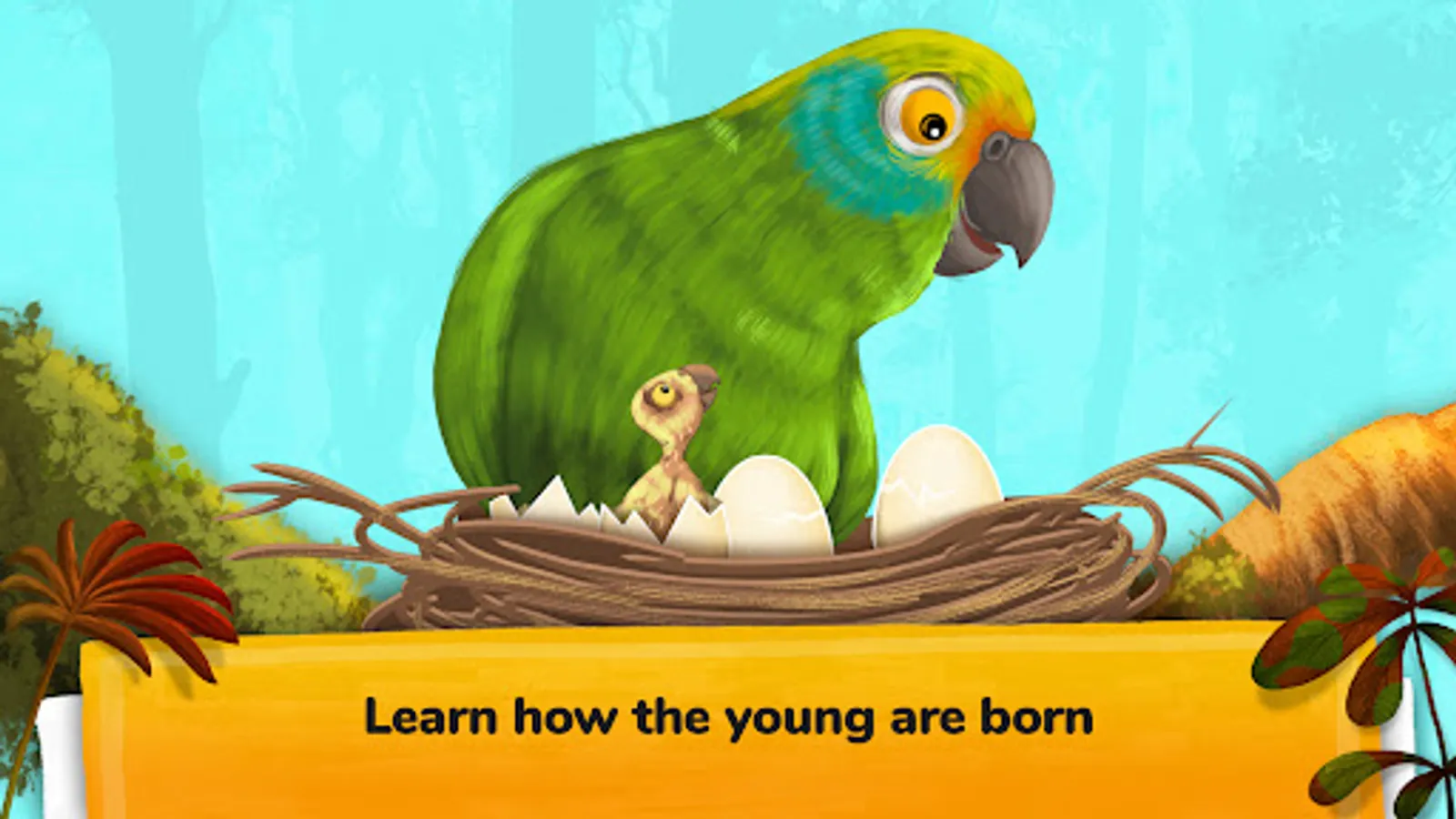 Screenshot 31