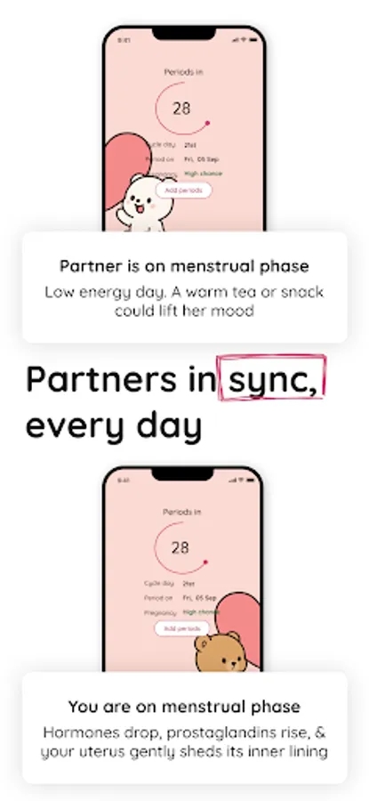 Screenshot 19