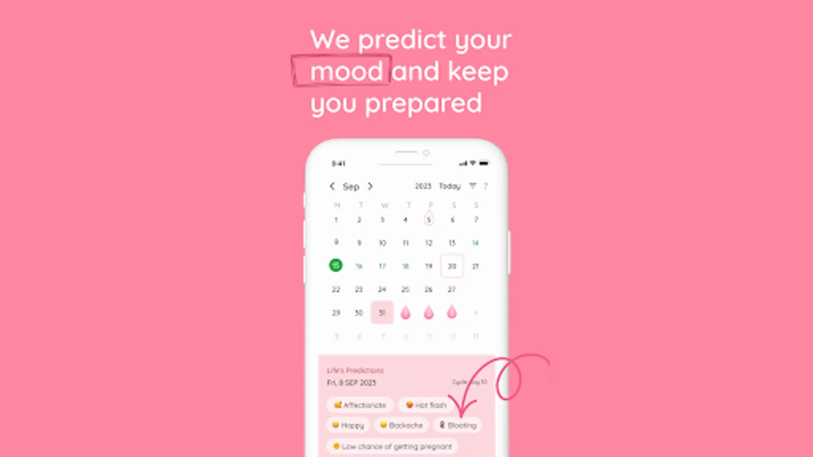 Screenshot 27