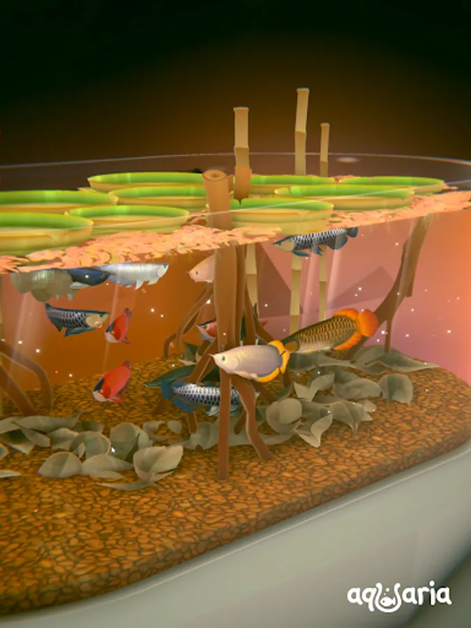 Screenshot 24