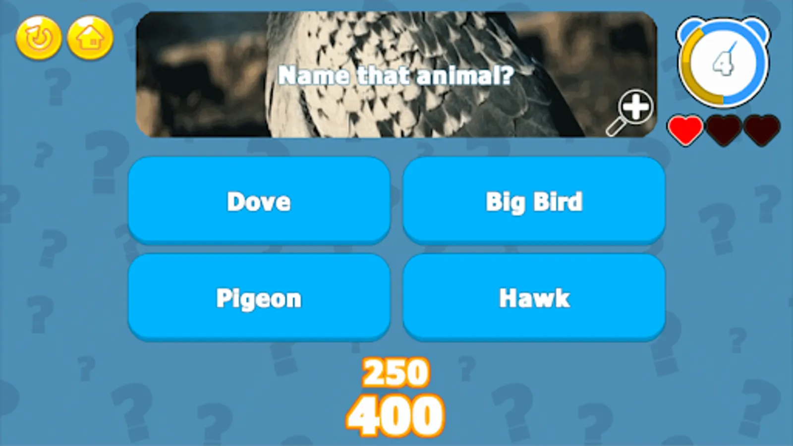 Screenshot 26
