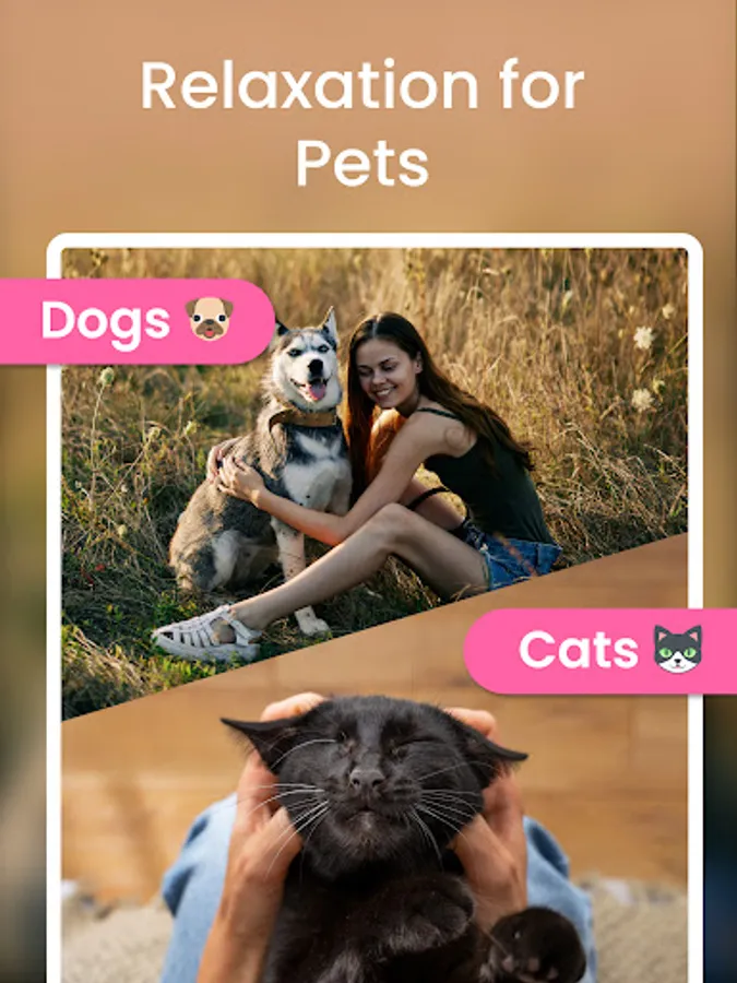 Screenshot 22