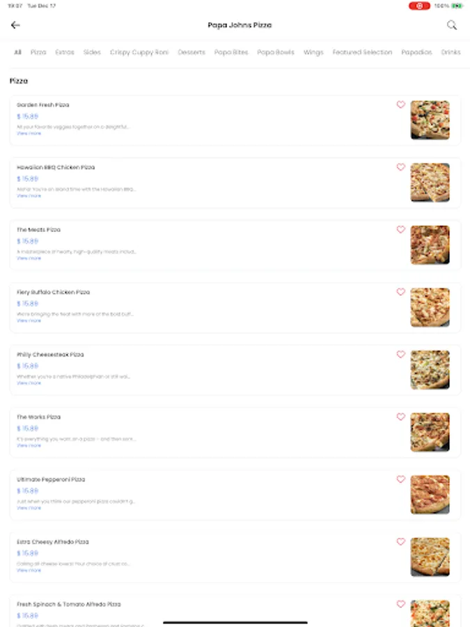 Screenshot 17