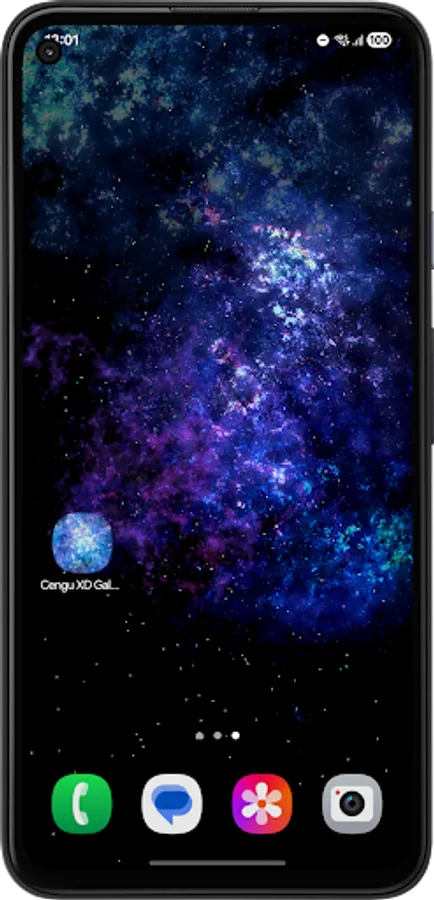 Screenshot 12