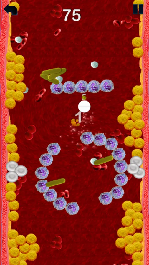 Screenshot 24