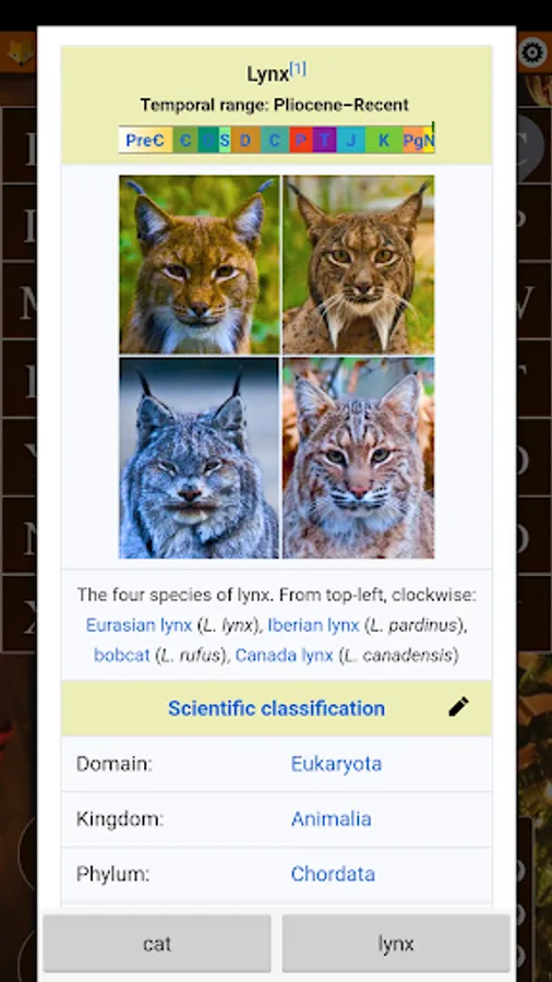 Screenshot 30
