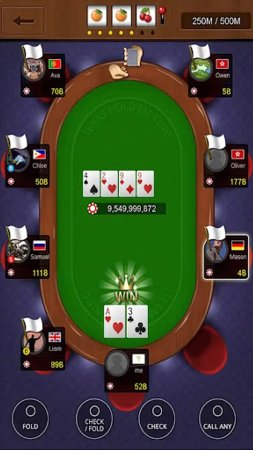 Screenshot 22