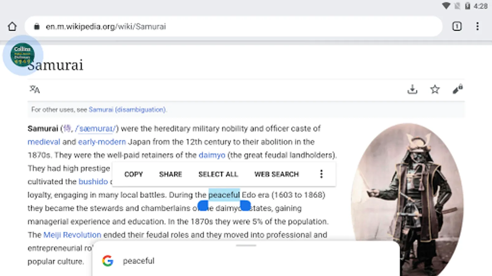 Screenshot 14