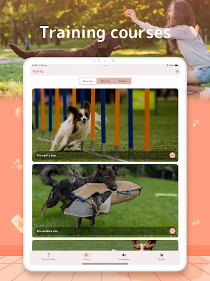 Screenshot 17