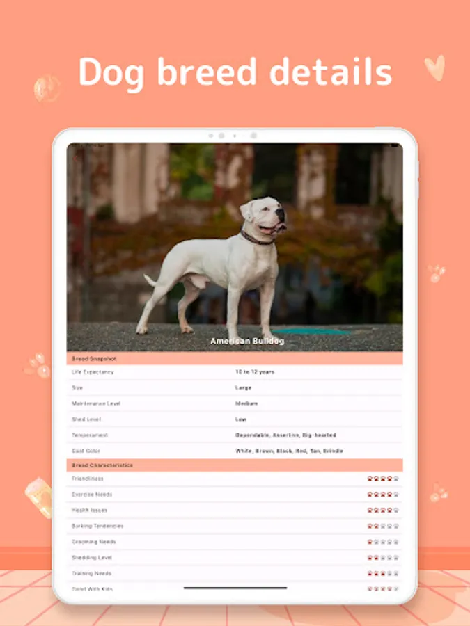 Screenshot 21