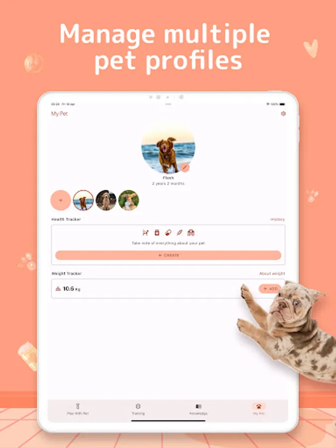 Screenshot 22