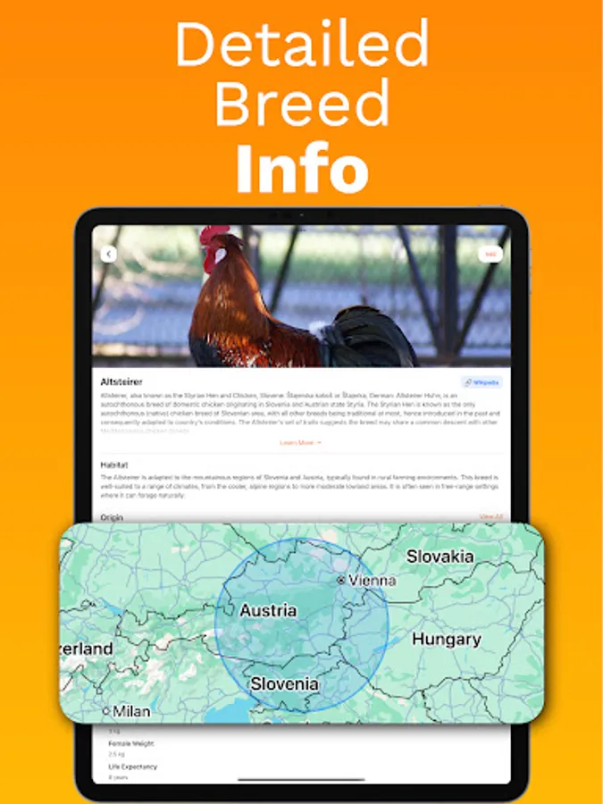 Screenshot 21