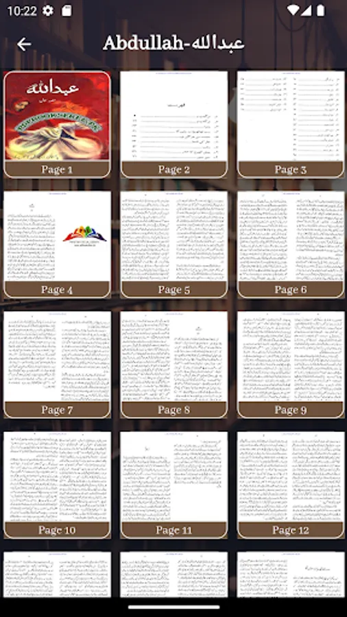 Screenshot 18