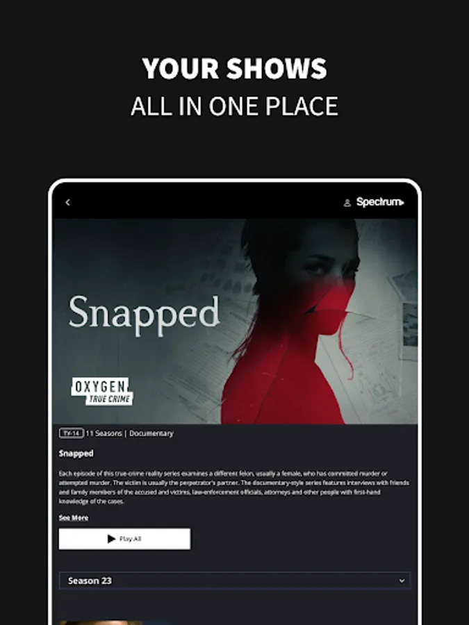 Screenshot 17