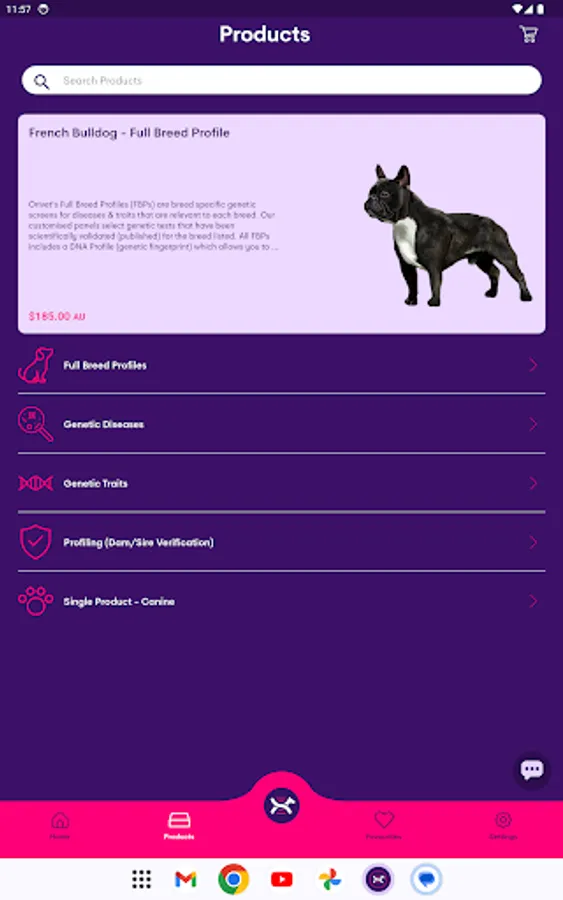 Screenshot 12