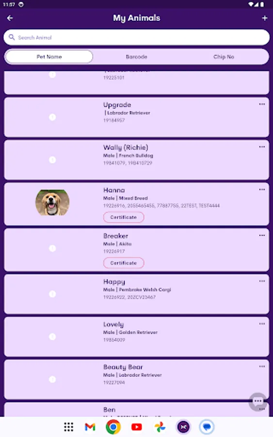 Screenshot 13