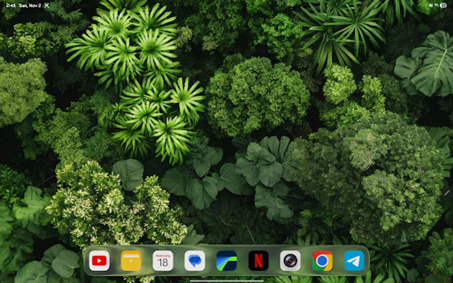 Screenshot 11