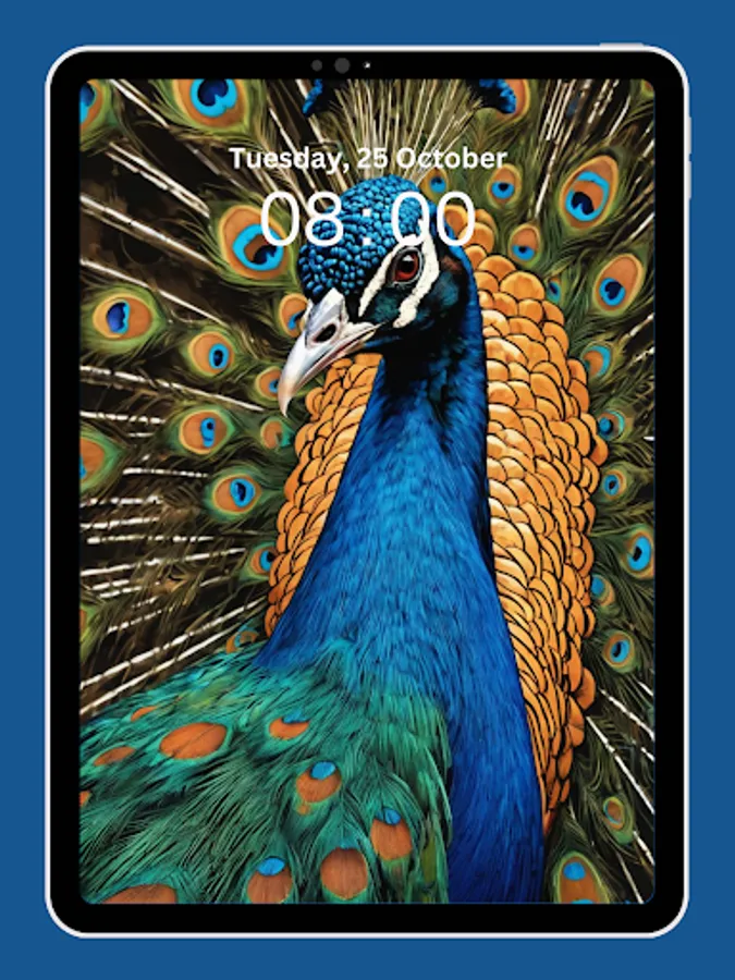 Screenshot 19
