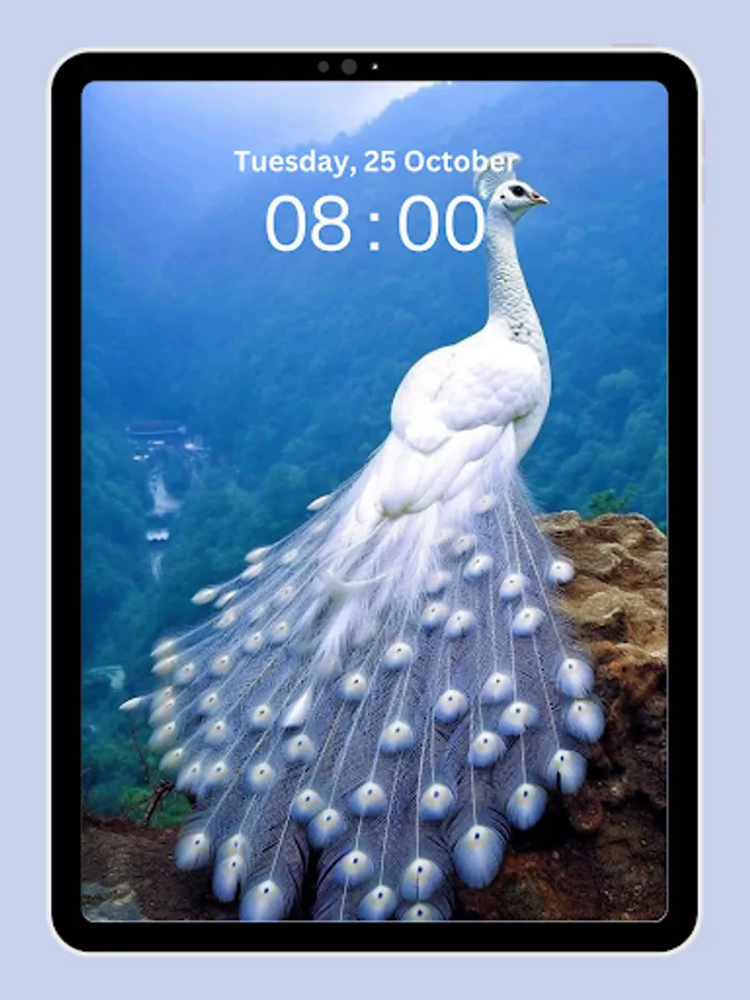 Screenshot 20