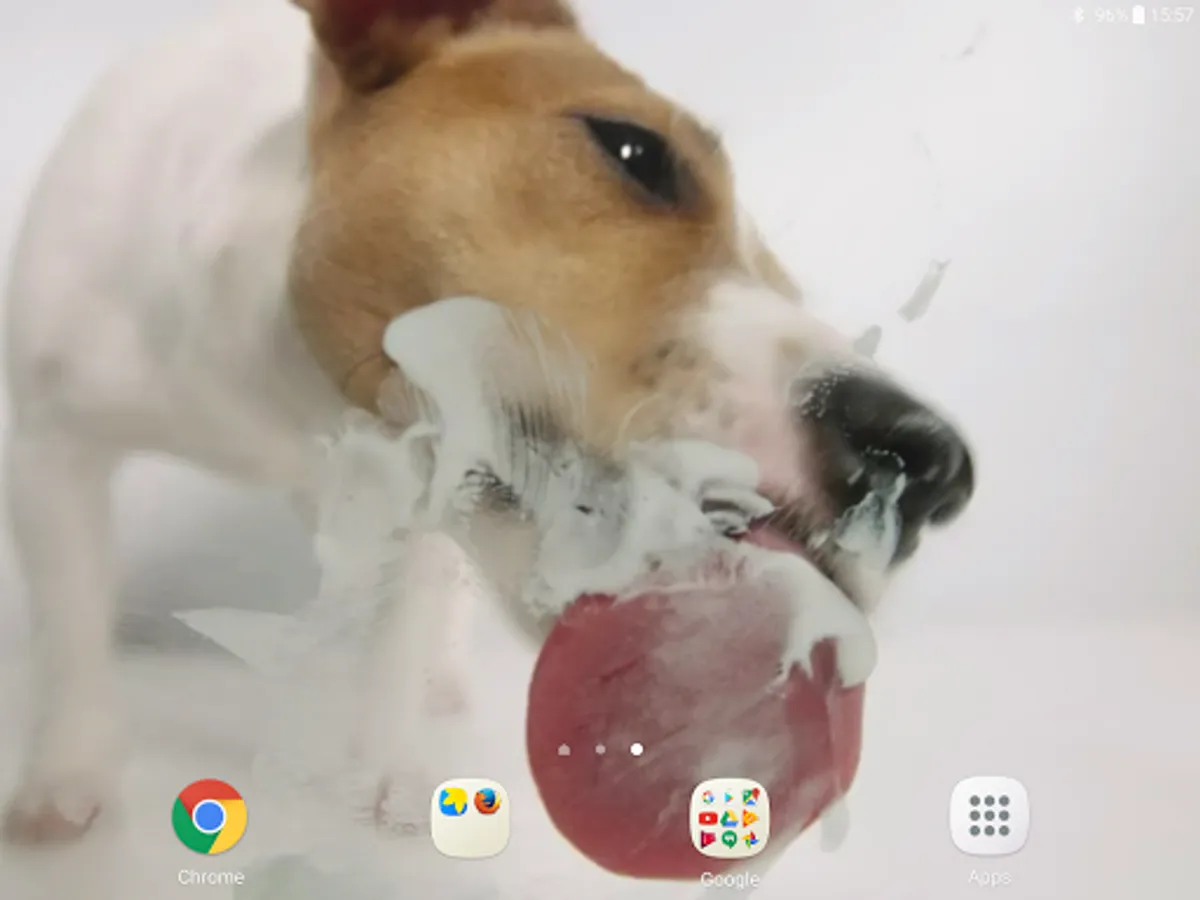 Screenshot 12