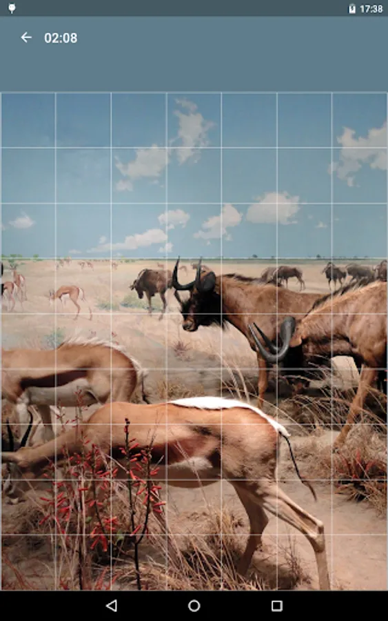 Screenshot 11
