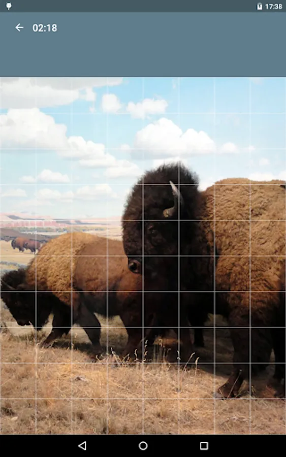 Screenshot 12