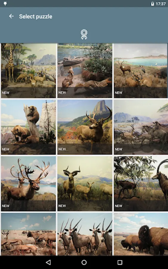 Screenshot 13