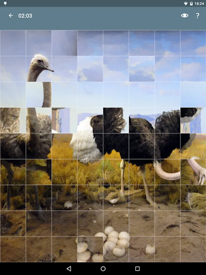 Screenshot 16