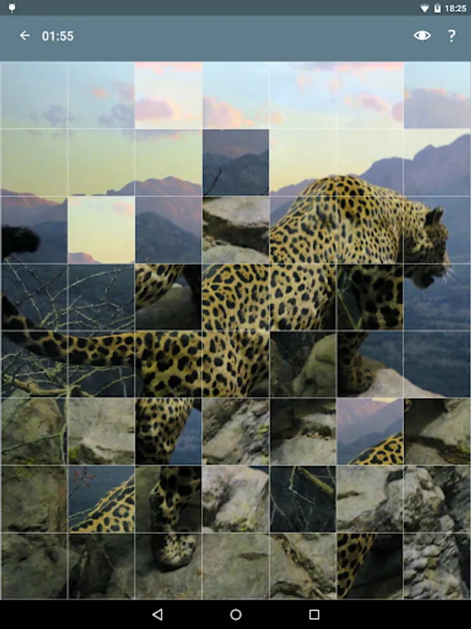 Screenshot 17