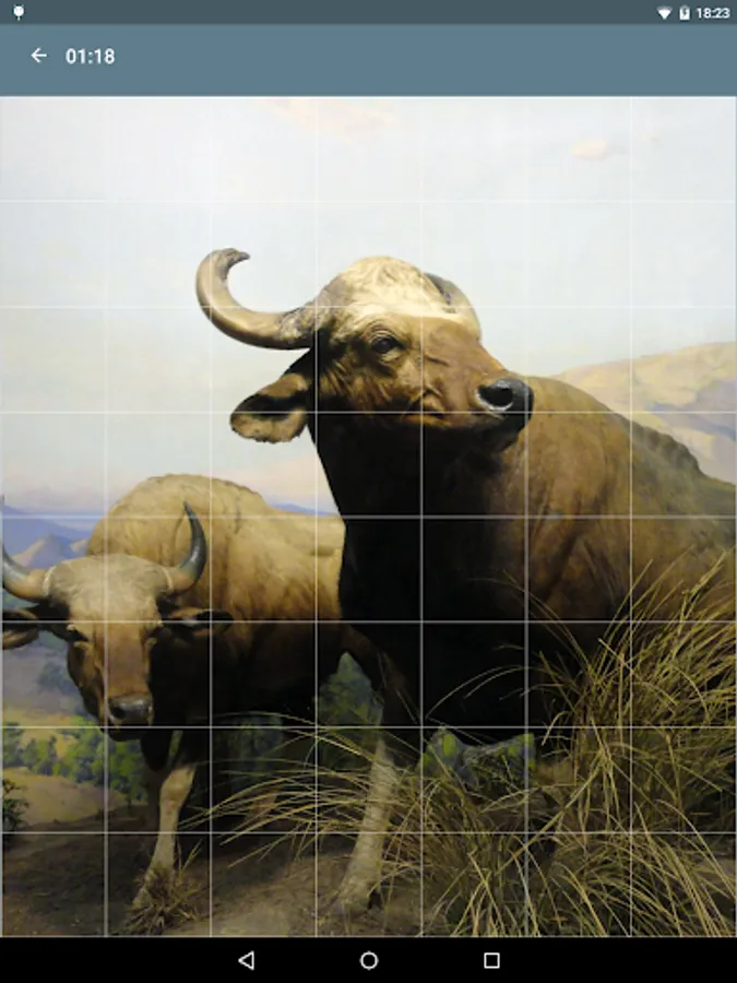 Screenshot 18