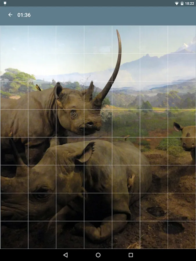 Screenshot 19