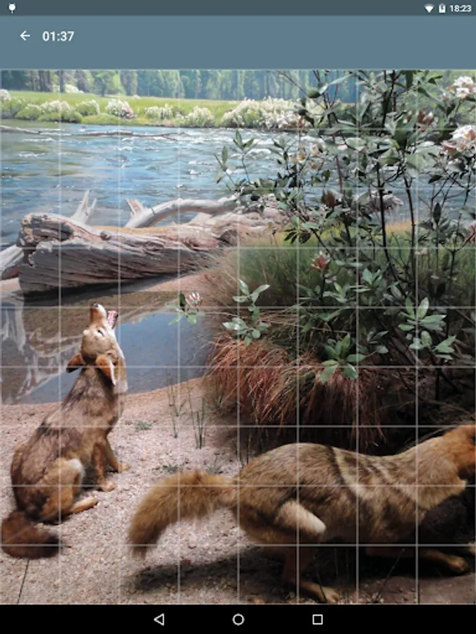Screenshot 20