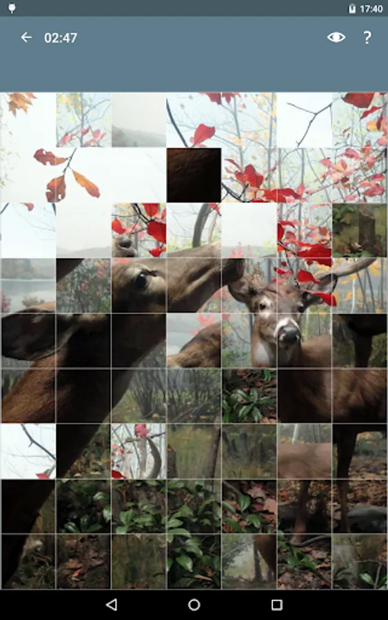 Screenshot 9