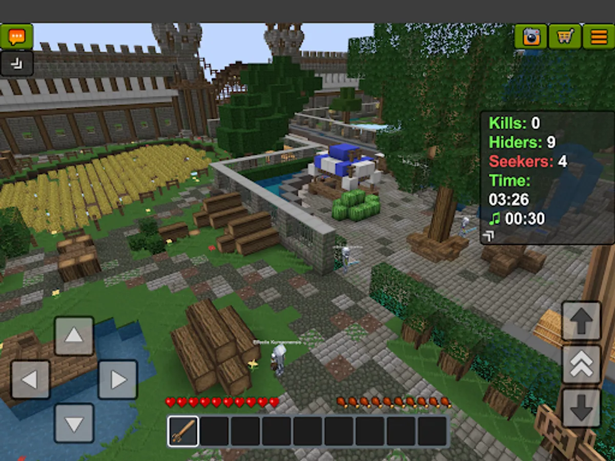 Screenshot 21