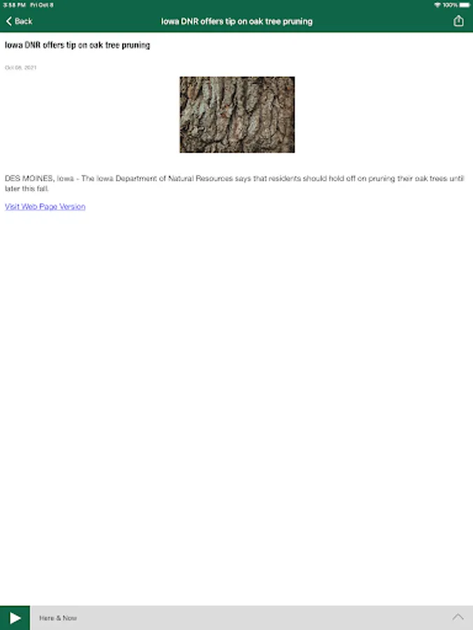 Screenshot 10
