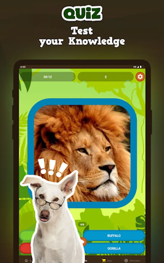 Screenshot 12