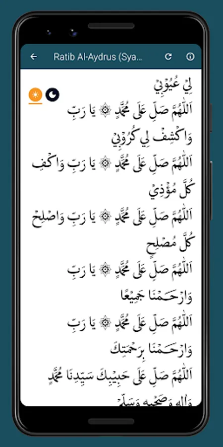 Screenshot 19