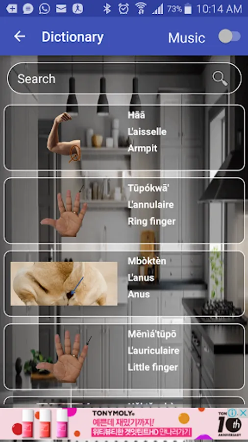 Screenshot 16