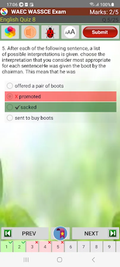 Screenshot 17
